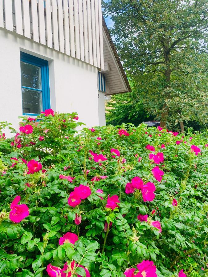 Ferienwohnung Schwalbe Wieck/Darss Buitenkant foto