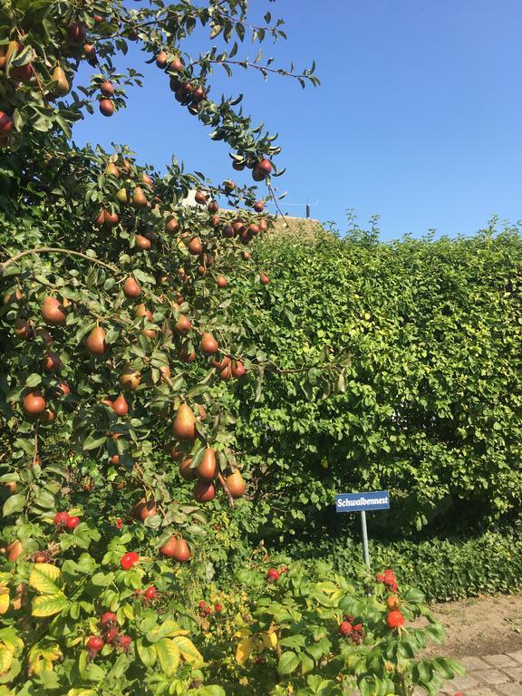 Ferienwohnung Schwalbe Wieck/Darss Buitenkant foto